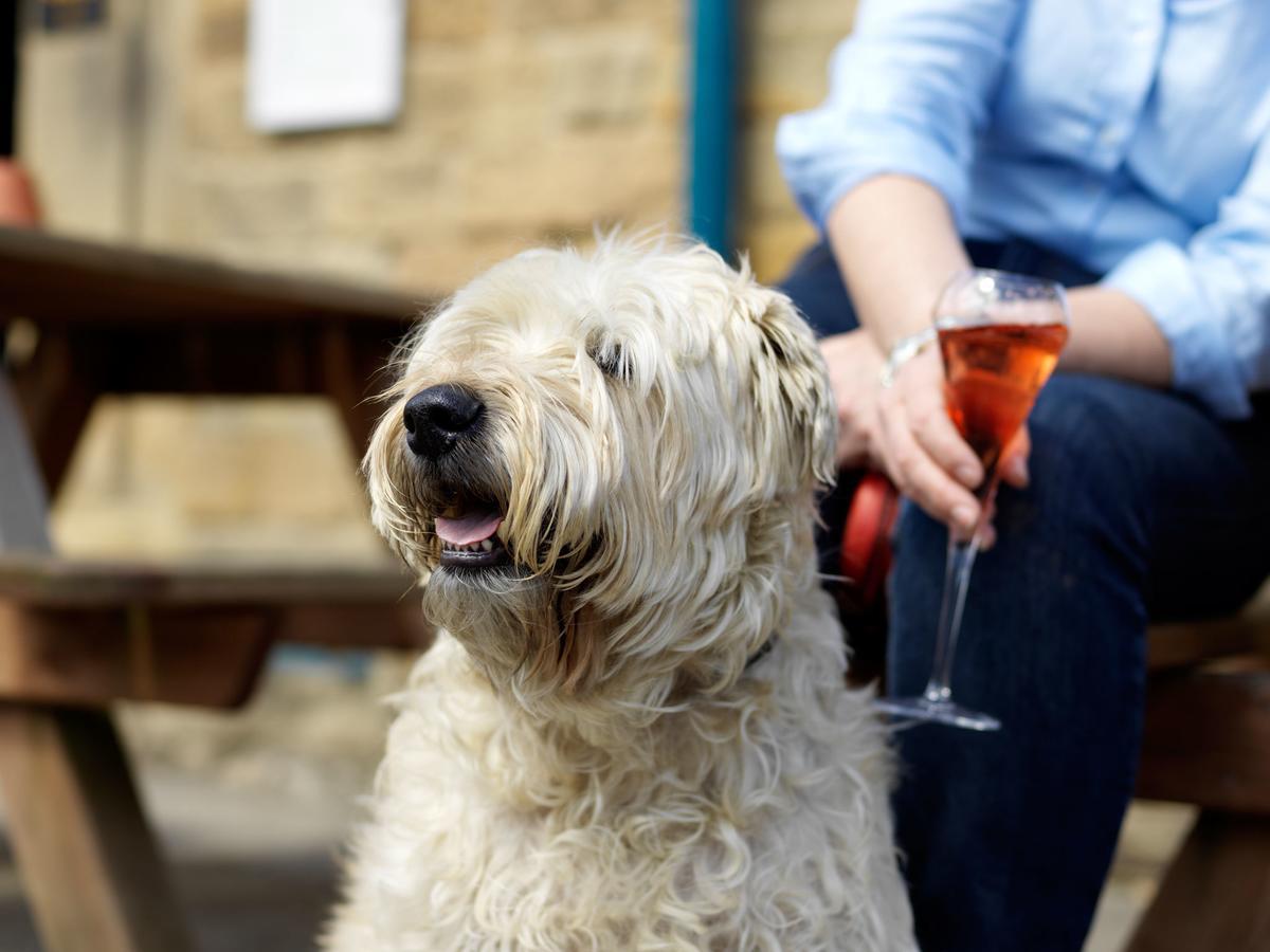 The Pilsley Inn - Chatsworth Баслоу Екстериор снимка